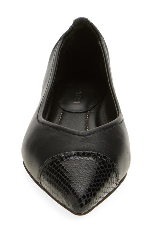 Shop Donald Pliner Ladonna Pointed Toe Pump In Black