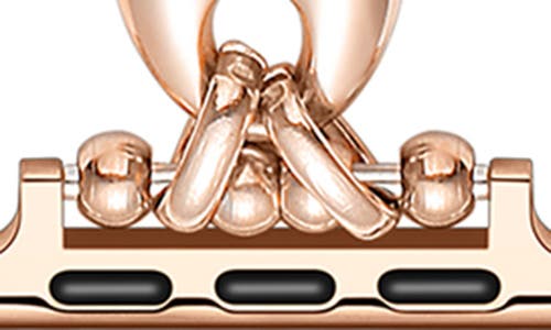 The Posh Tech Poppy Apple Watch® Bracelet Watchband In Gold