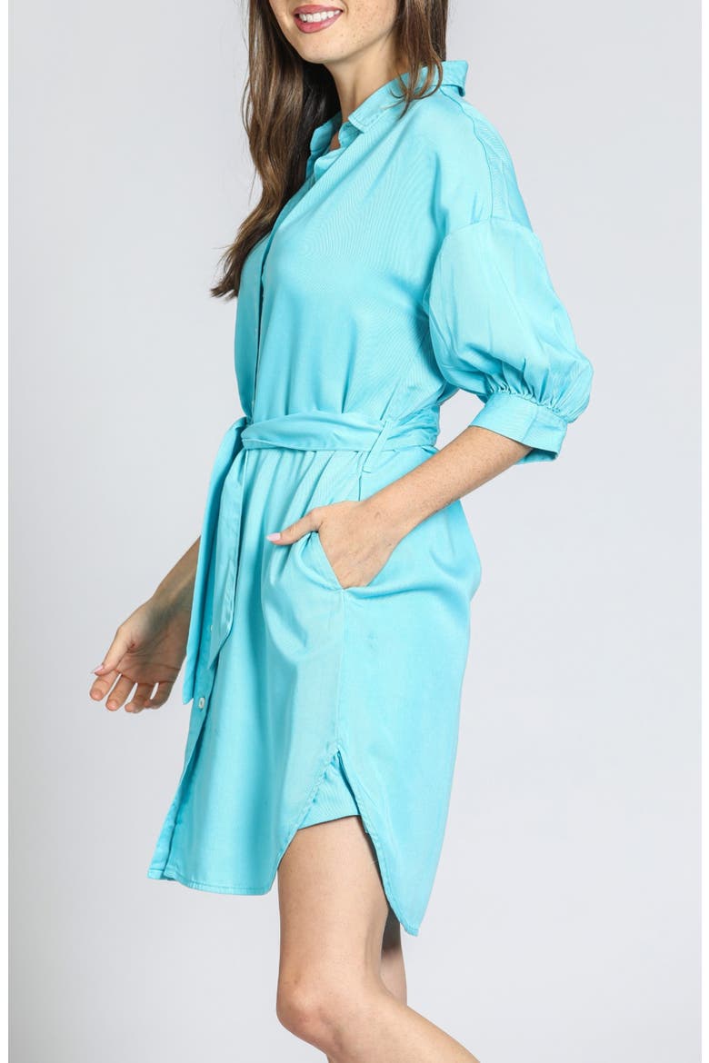 Belted Shirtdress, Alternate, color, CAPRI