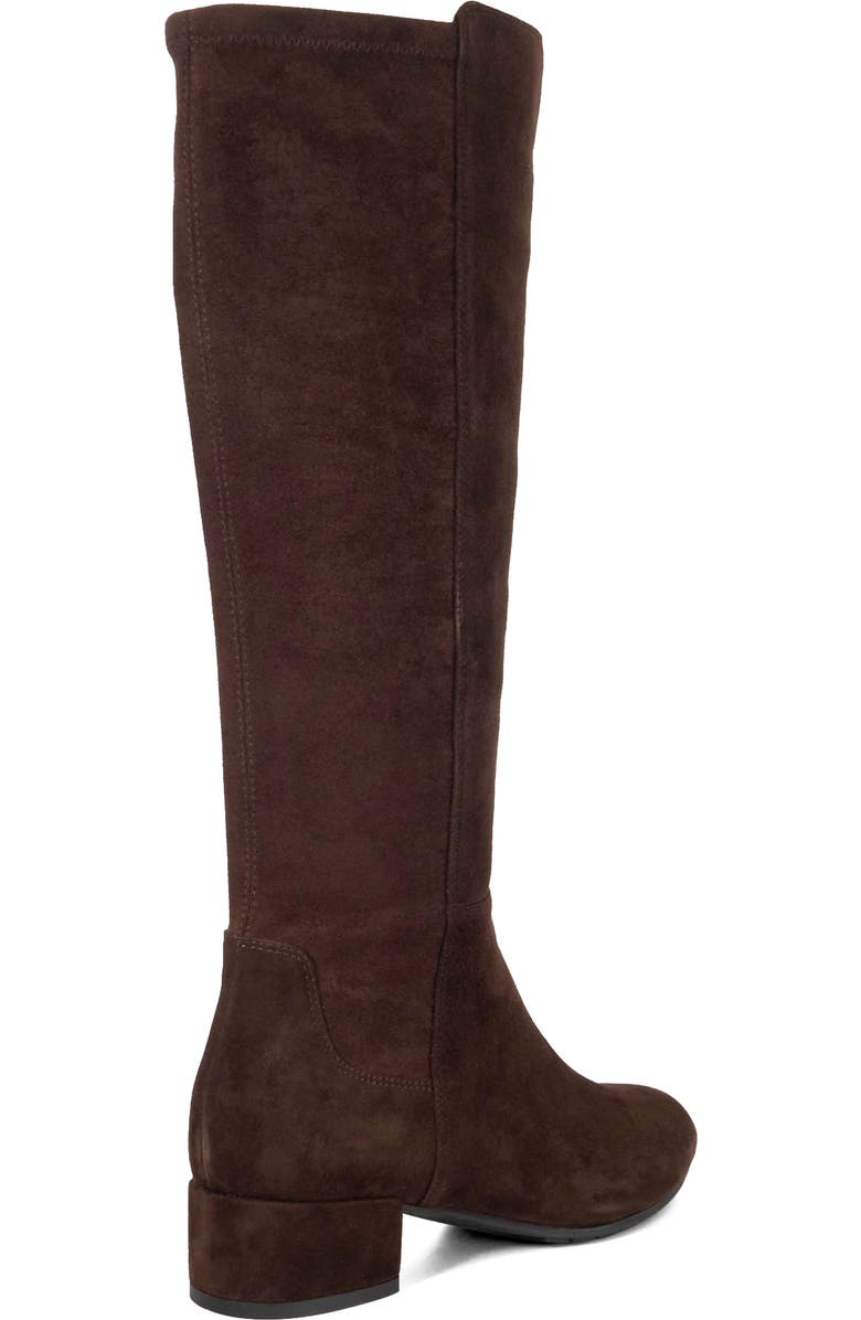 Dune London Tayla Knee High Boot, Alternate, color, Brown