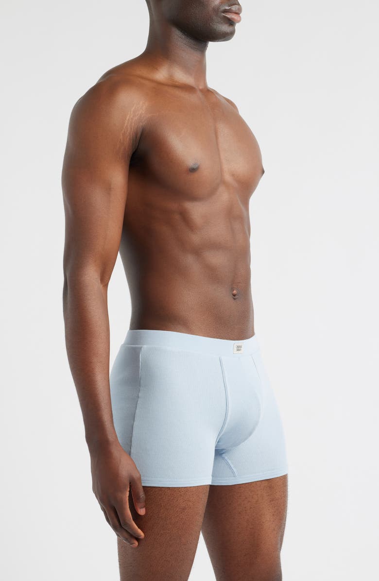Organic Basics Icon 3-Pack Rib Stretch Cotton Trunks, Alternate, color, Grey / Cloudy Blue / Walnut