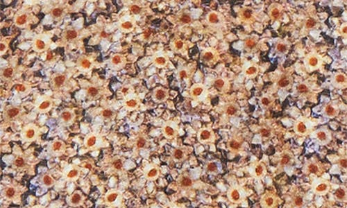 Isabel Marant Harlow Ditsy Floral Popover Top In Multi