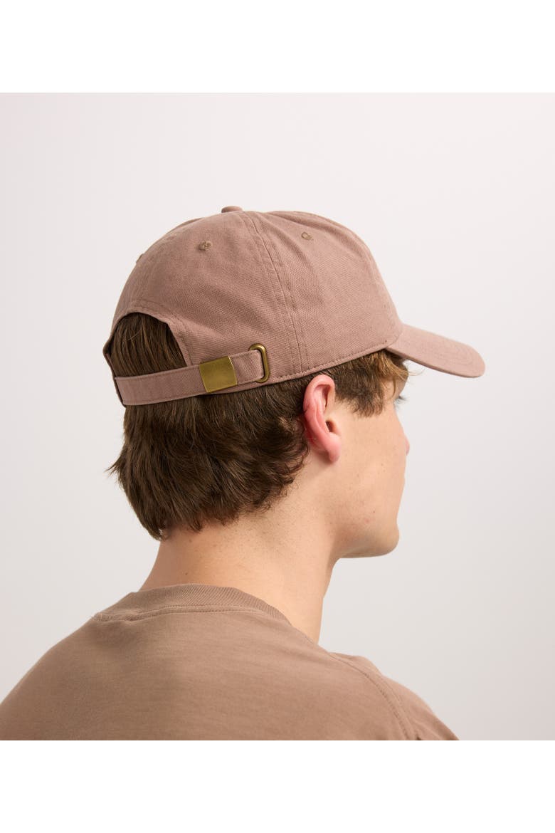 Dad Hat, Alternate, color, Pinto