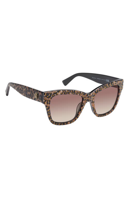 Kurt Geiger London 52mm Cat Eye Sunglasses In Brown