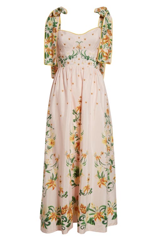Farm Rio Botanical Beauty Cotton Blend Sundress In Pink
