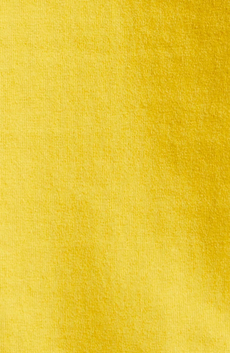 Burberry Daisy Appliqué Ringer T-Shirt, Alternate, color, Pear