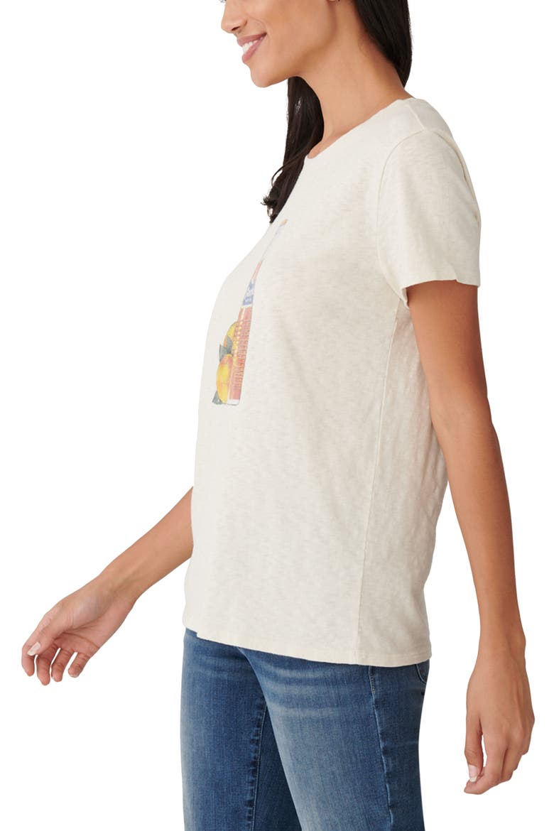 Fanta Bottle Cotton Graphic Tee, Alternate, color, SILVER BIRCH