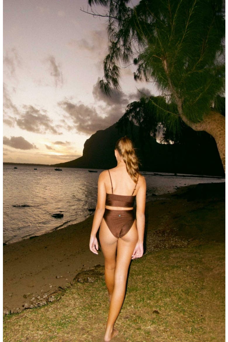 Nyanga Bikini Top, Alternate, color, Dark Brown