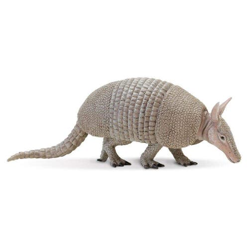 Safari Ltd. Kids'  Armadillo