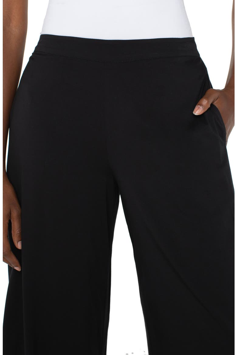 Pull-On Palazzo Pants, Alternate, color, BLACK