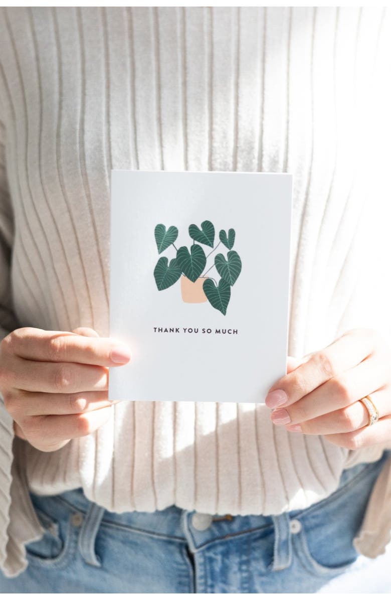 Joy Paper Co. Thank You House Plant Boxed Set of 8 Greeting Cards, Alternate, color, White, Teal, Coral