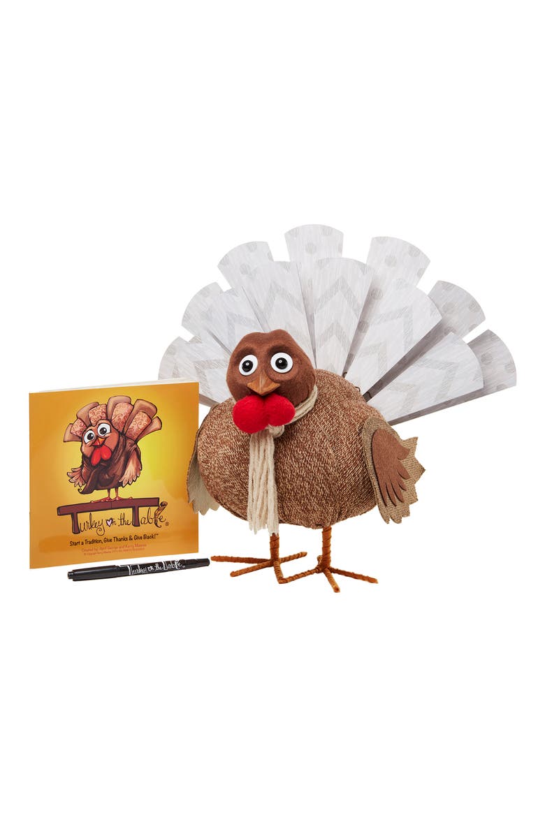 Turkey Activity Kit, Main, color, MULTI