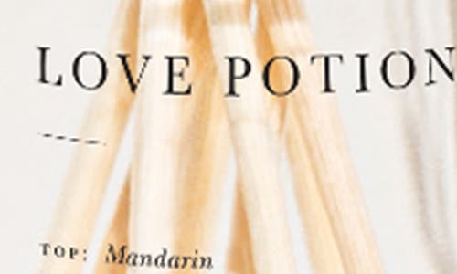 Brooklyn Candle Studio Love Potion Reed Diffuser In Pink