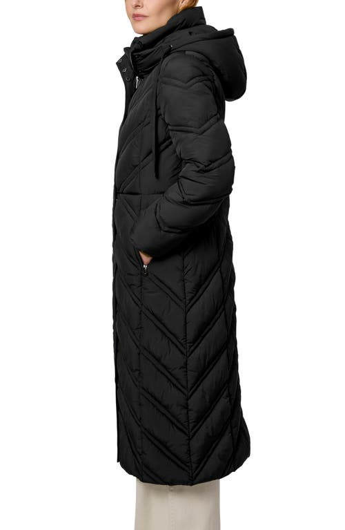 Bernardo Longline Hooded Puffer Jacket In Black