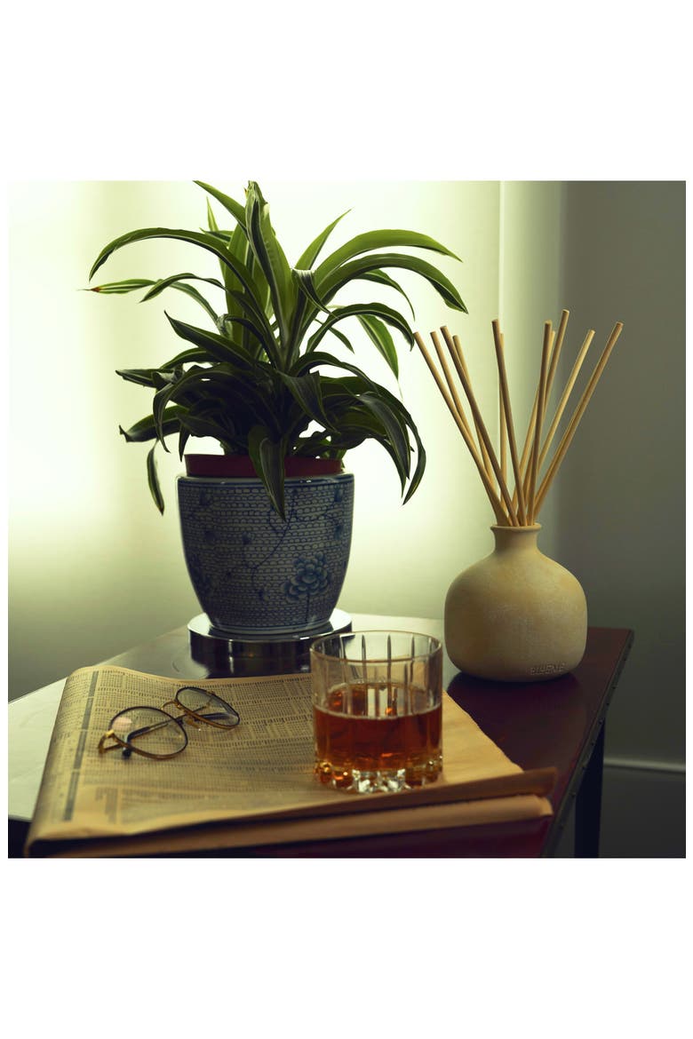 Nostalgia Small Ceramic Reed Diffuser, Alternate, color, NOSTALGIA