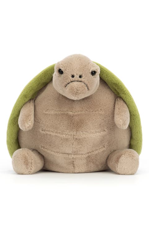 Timmy Turtle