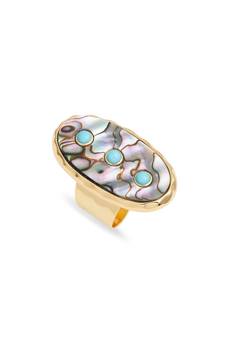 Abalone Turquoise Studded Adjustable Ring, Main, color, TURQUOISE MULTI