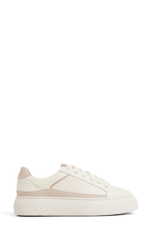 Ted Baker Adison Platform Sneaker In Multi