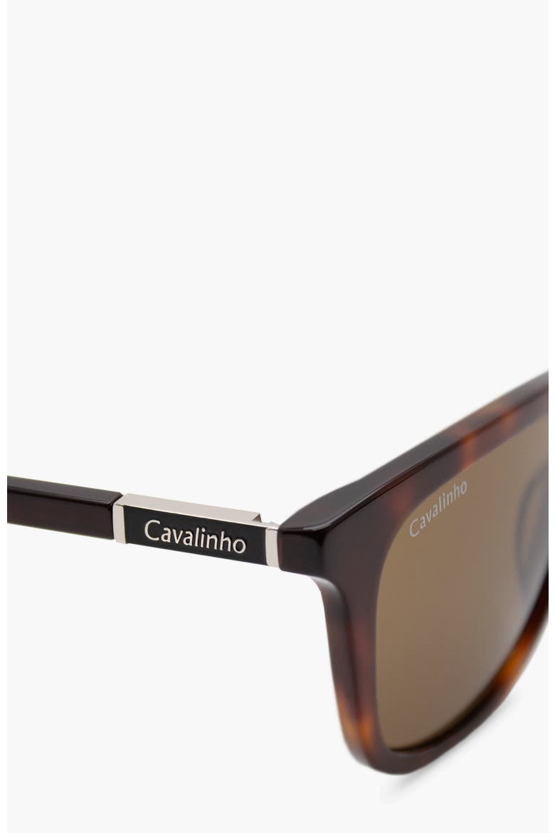 Sunglasses Old Town, Alternate, color, Brown