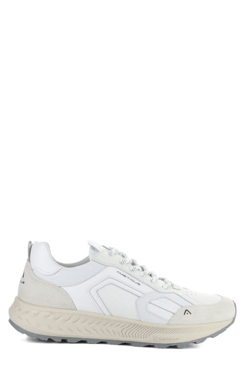 Ambitious 13393 Sneaker In White