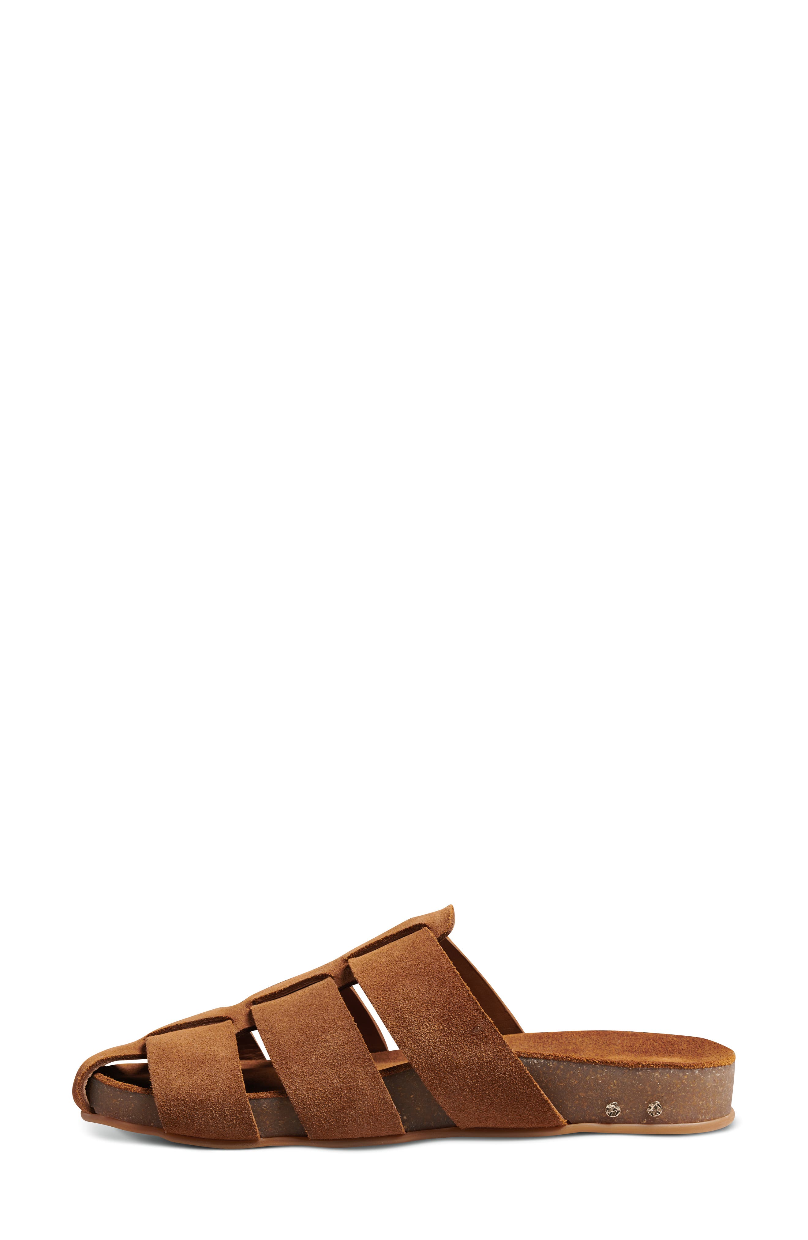 Beek Tody Mule, Alternate, color, 