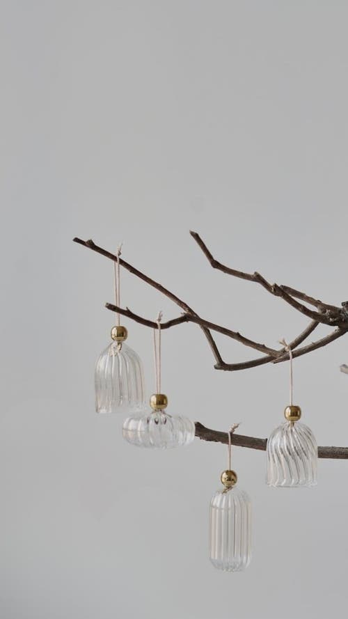 Fleck Bon Ornaments In Transparent