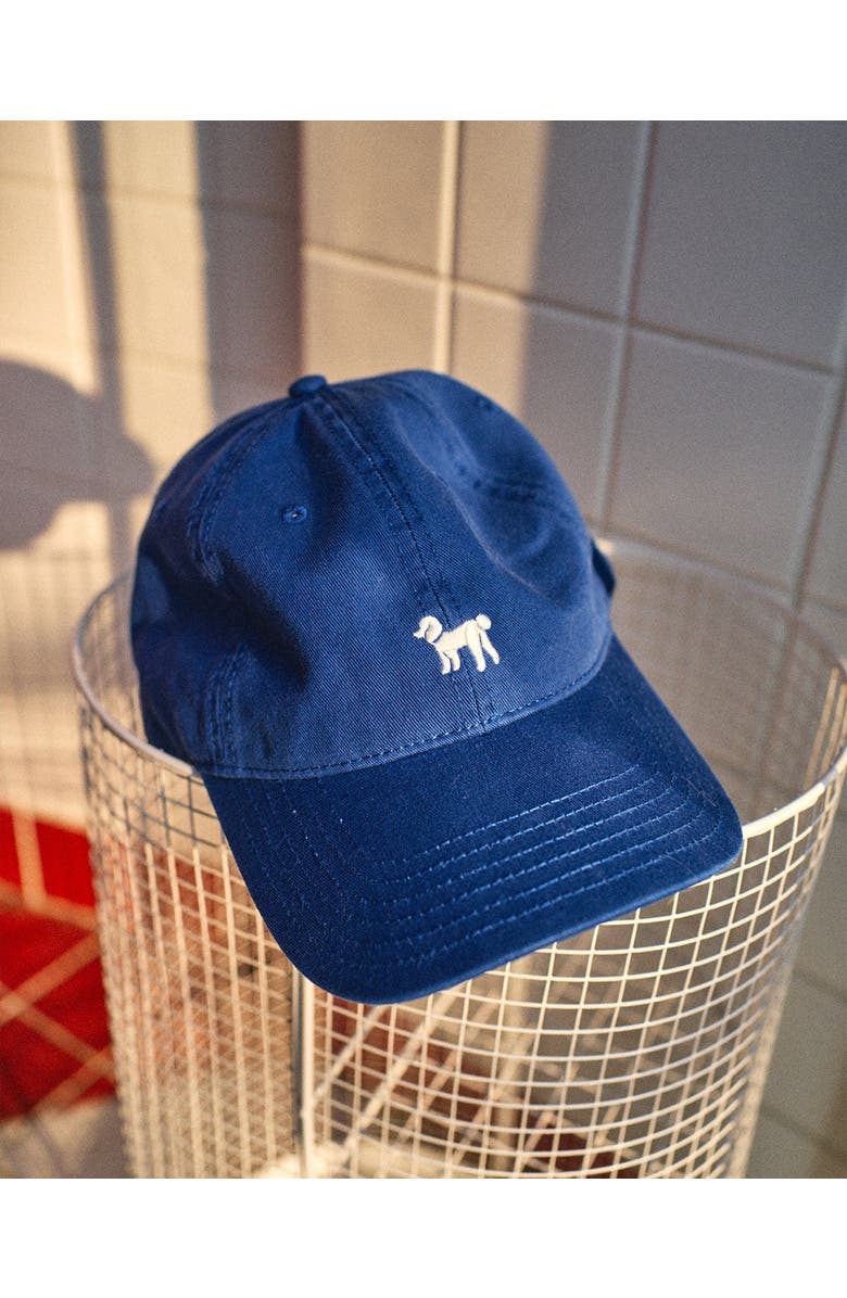 Lost Pattern "Pan Pan" Baseball Cap, Alternate, color, Royal Blue