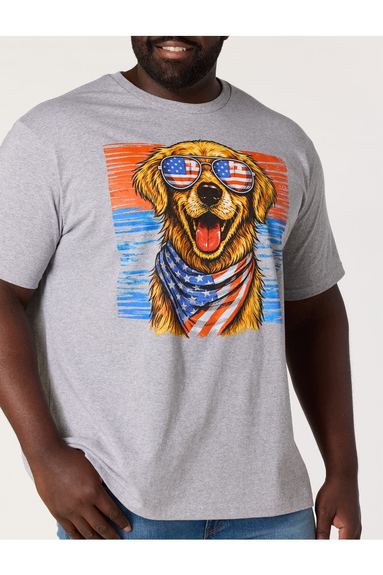 Big & Tall Independence Day Dog Graphic T-Shirt, Alternate, color, GREY HEATHER