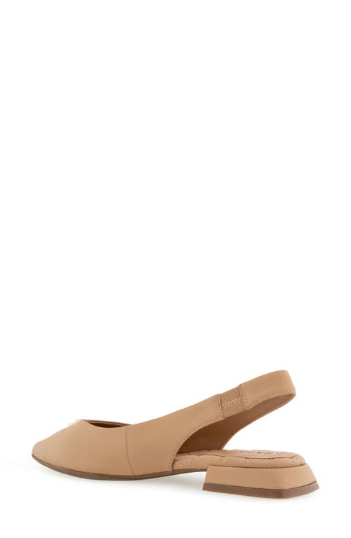 Shop Aerosoles Nayana Pointed Toe Slingback Flat In Beige Bisque Leather