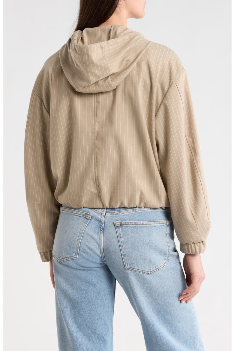 Pinstripe Hooded Jacket, Alternate, color, TOFFEE