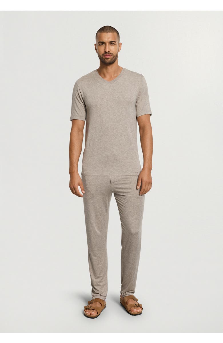 Hanro Casuals Soft V-Neck T-Shirt, Alternate, color, Hazelnut Melange