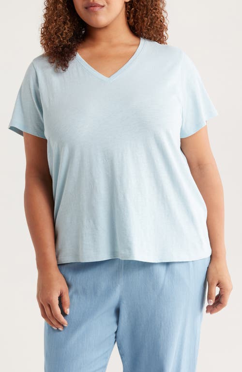 Eileen Fisher Easy V-neck Organic Cotton T-shirt