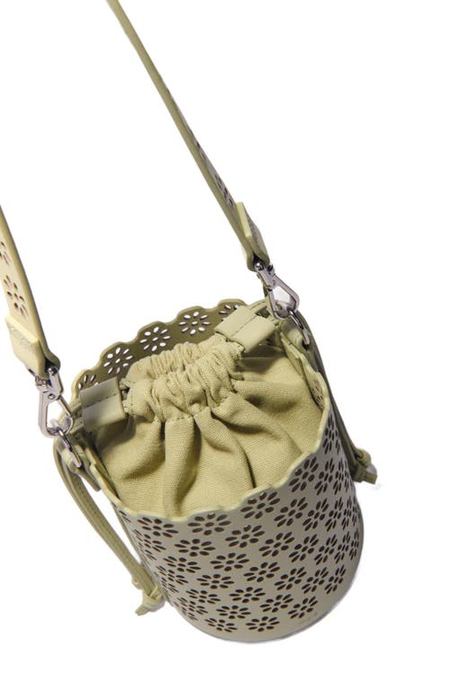 Maje Perforated Leather Bucket Bag In Almond Green