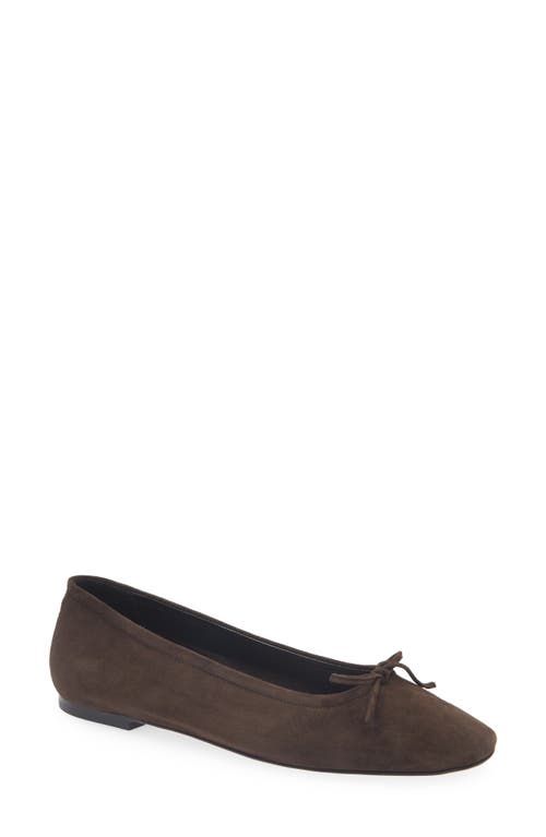 Aeyde Delfina Ballet Flat In Brown