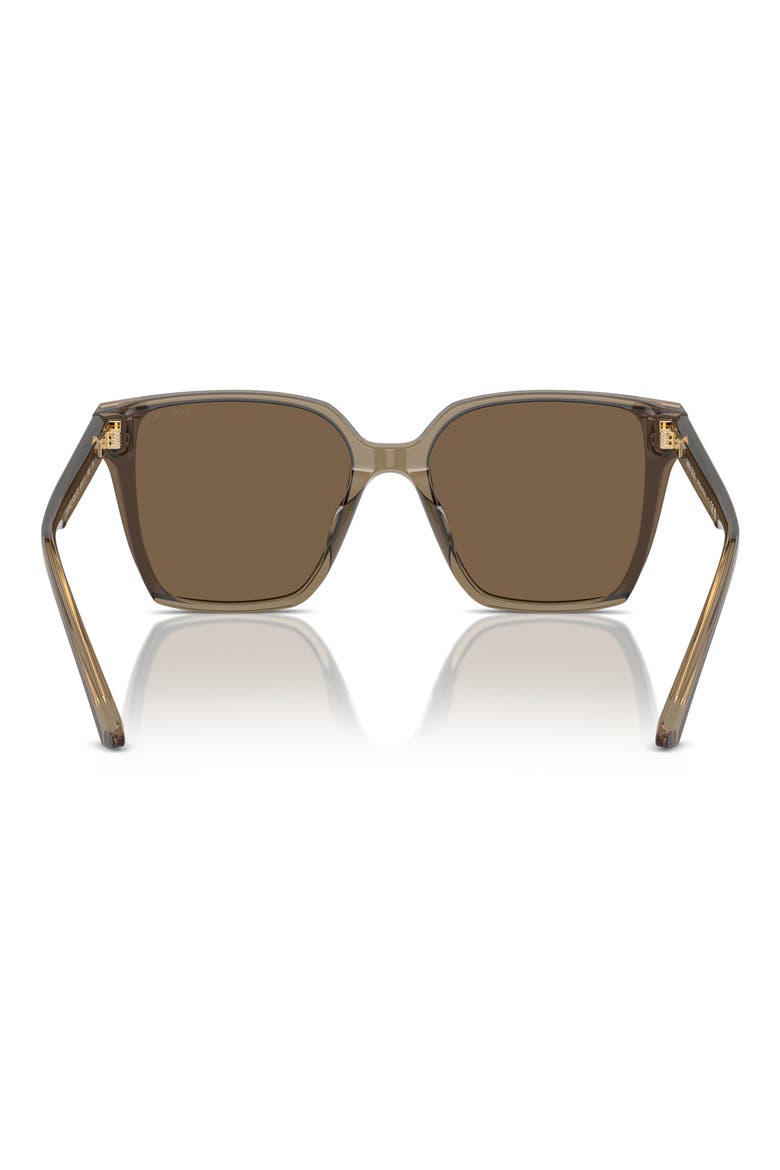 61mm Oversize Square Sunglasses, Alternate, color, TRANSPARENT BROWN / DARK BROWN