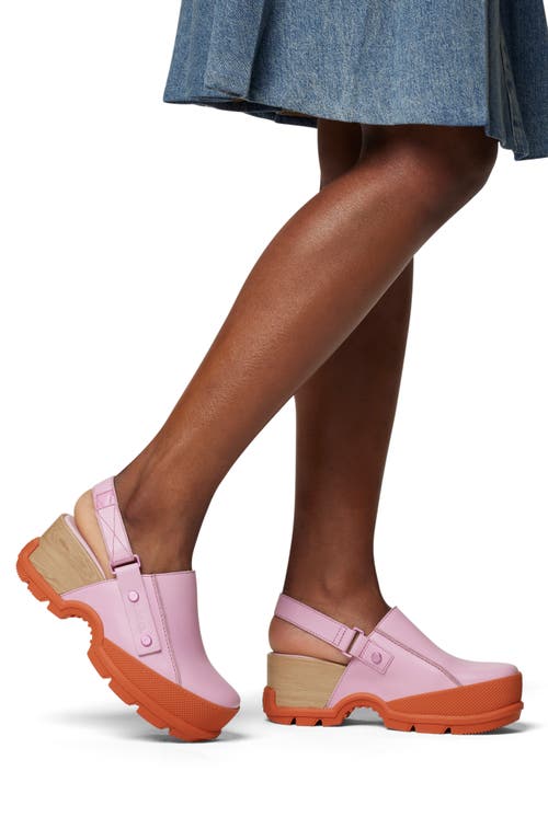 Sorel Roam'n Rbr Clog In Aura/tuscan