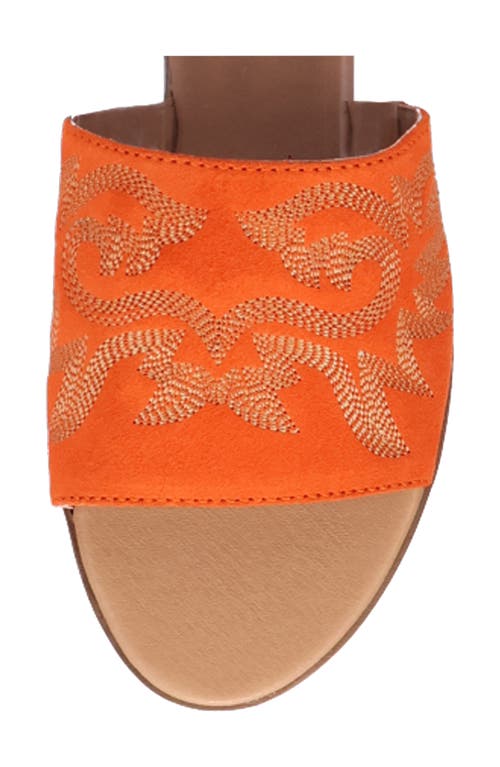 Dingo Lasso Sandal