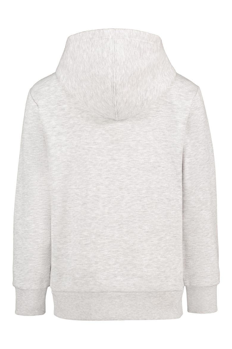 Kids' Banjo Raccoon Hoodie, Alternate, color, LIGHT GREY HEATHER