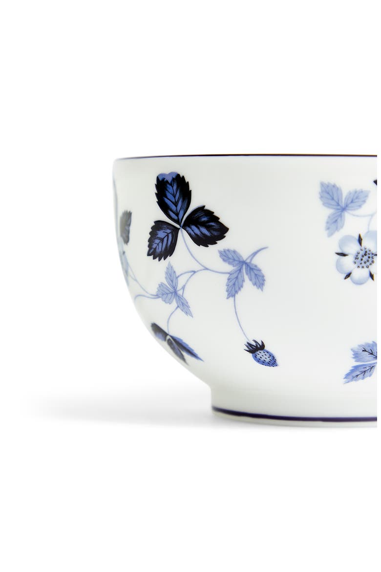 Wild Strawberry 8-Piece Bone China Dinnerware Set, Alternate, color, BLUE