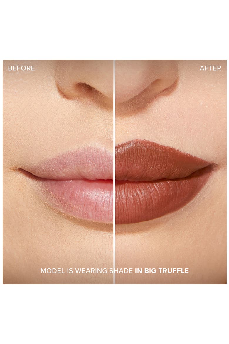 Lip Injection Extreme Lip Shaper Plumping Lip Liner, Alternate, color, IN BIG TRUFFLE