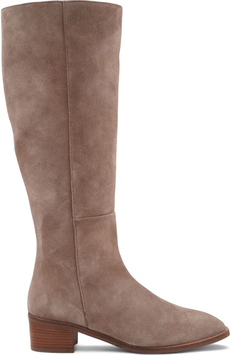 Aquatalia Ravel Waterproof Knee High Boot, Alternate, color, Light Taupe Suede