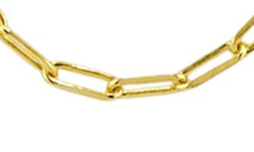 American Exchange Oval Link Necklace In Gold