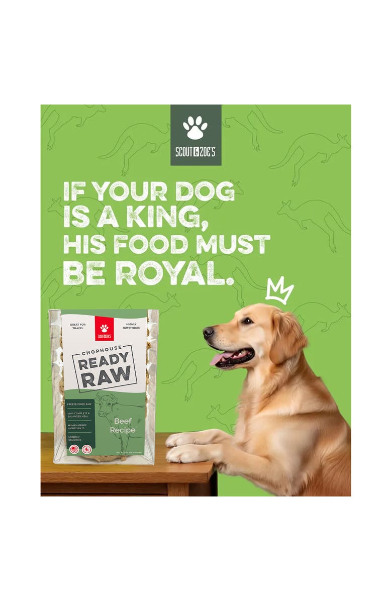 Scout & Zoe's Chophouse Ready Raw, Beef, 9 Dog Food Freeze Dried Patties, Alternate, color, Multicolored