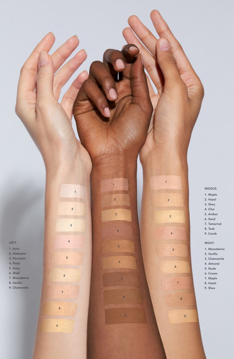 Chantecaille Future Skin Oil-Free Foundation, Alternate, color, Carob