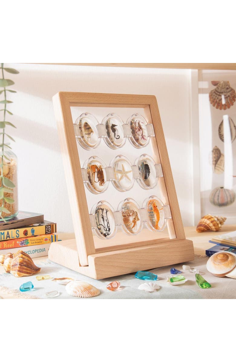 Kaplan Early Learning Company Specimen Stone Tabletop Stand, Alternate, color, Beige