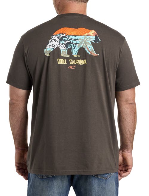 O'NEILL O'NEILL BIG & TALL CALIFORNIA REPUBLIC GRAPHIC TEE