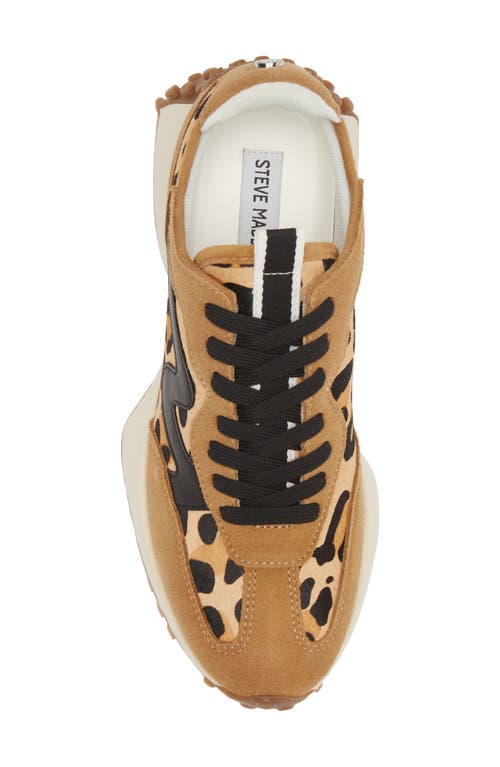 Steve Madden Campo-l Leopard Print Genuine Calf Hair Sneaker