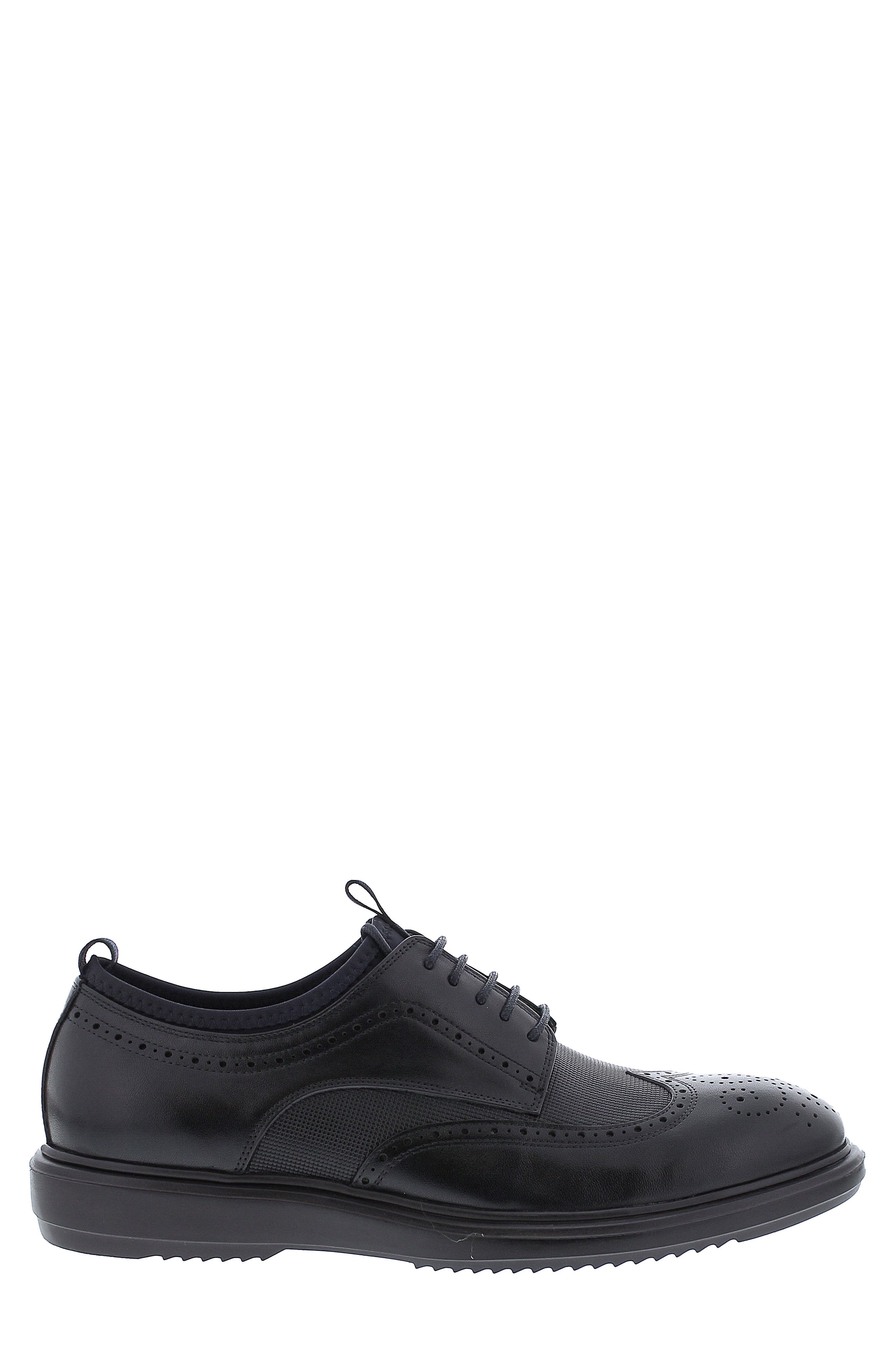 Zanzara Damon Wingtip, Alternate, color, 