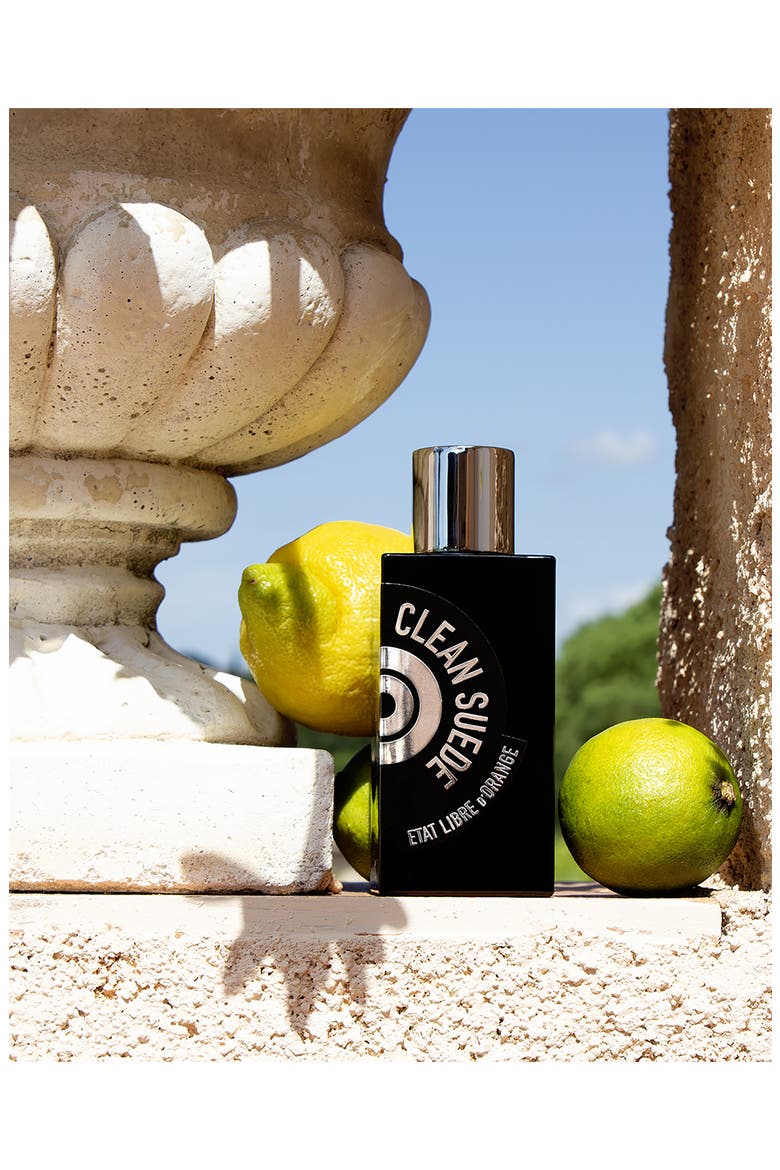 Hermann à Mes Côtés Me Paraissait une Ombre Eau de Parfum, Alternate, color, NO COLOR