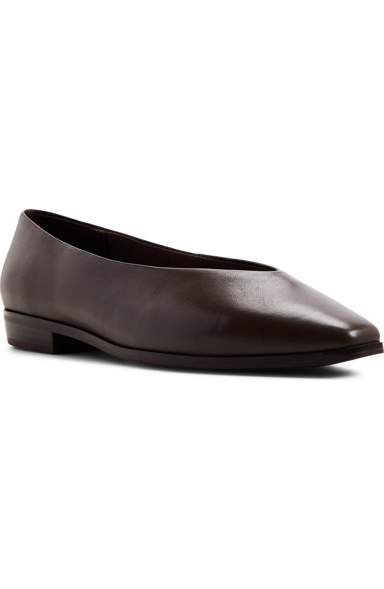 ALDO Devereteriel Flat, Main, color, Dark Brown